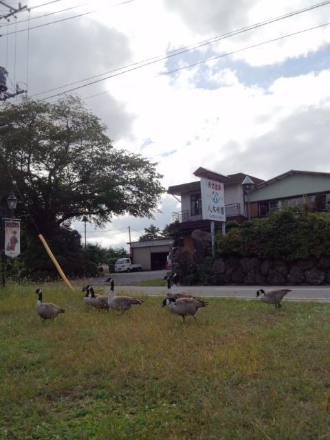 ホテル Yagisakien 富士河口湖町 エクステリア 写真
